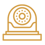 cctv survey Icon